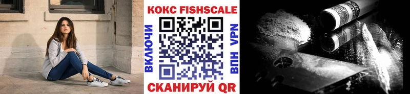 COCAIN FishScale  Купить закладки  Каменск-Шахтинский 