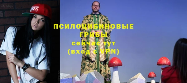 ALPHA PVP Костерёво
