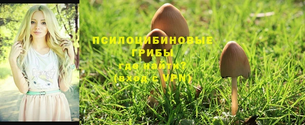 ALPHA PVP Костерёво