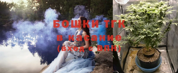 амф Корсаков