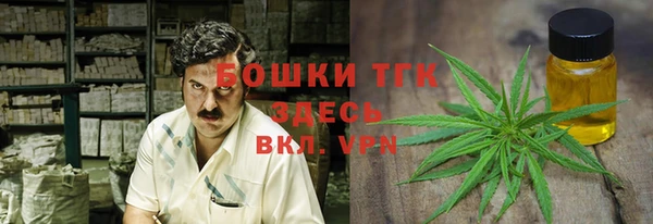 амф Корсаков